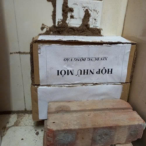 hộp mối